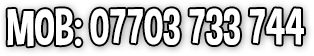 07703 733 744